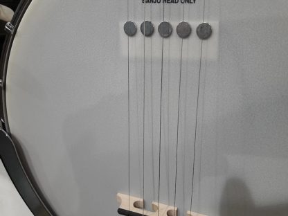 Sixtus Banjo pickup
